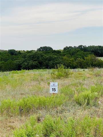 Hico, TX 76457,Lot 15 Honey Creek Pass