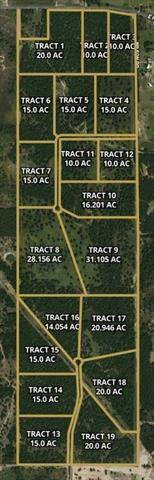 Perrin, TX 76486,Lot 12 Wilson Rd