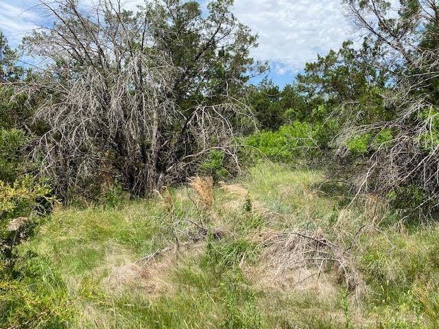 Graford, TX 76449,Lot 580 Canyon Wren Loop