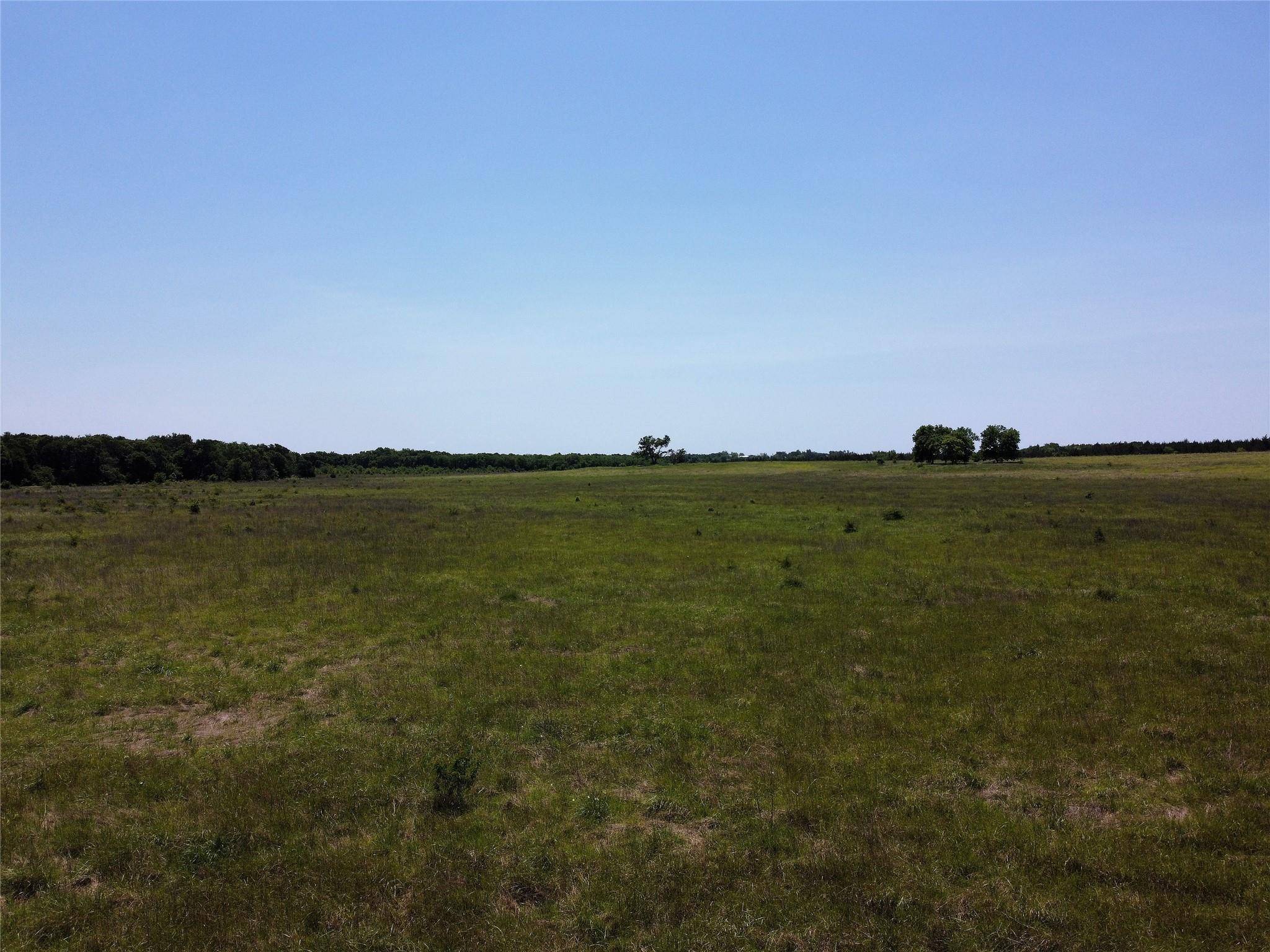 Wolfe City, TX 75496,185 ac County Rd 4618