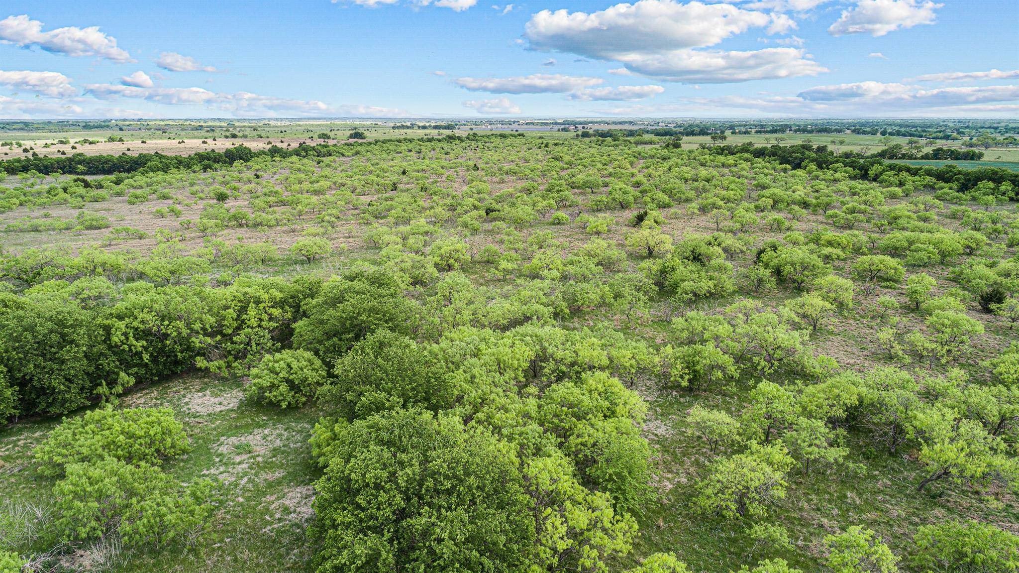 Frost, TX 76641,TBD 2 & 3 NW County Road 4130