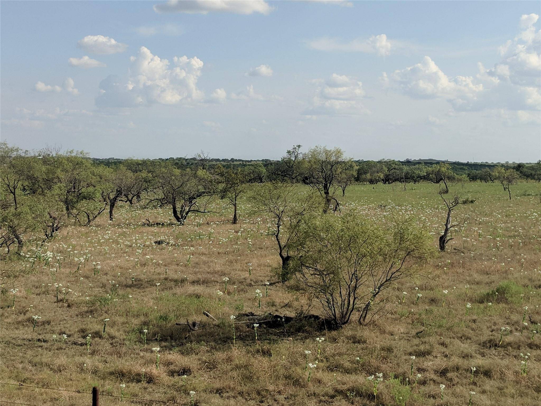 Jonesboro, TX 76538,TBD Hwy 36 E. Tract 1