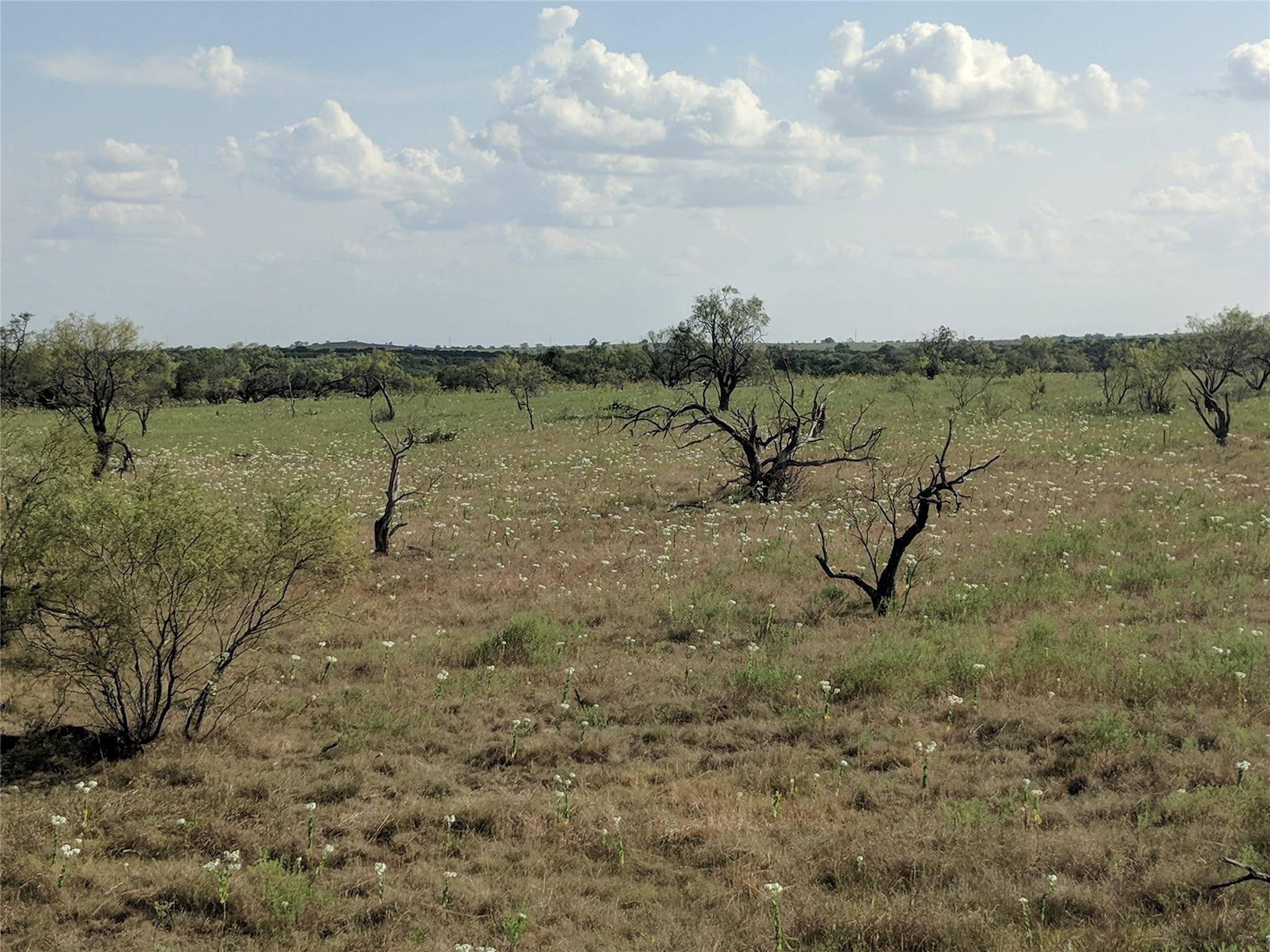 Jonesboro, TX 76538,TBD HWY 36 E. Tract 2