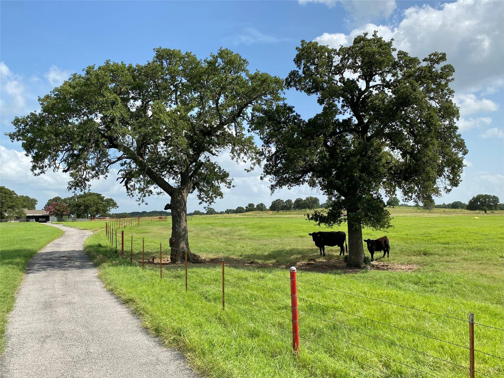 Tolar, TX 76476,1605 Tolar Cemetery Road