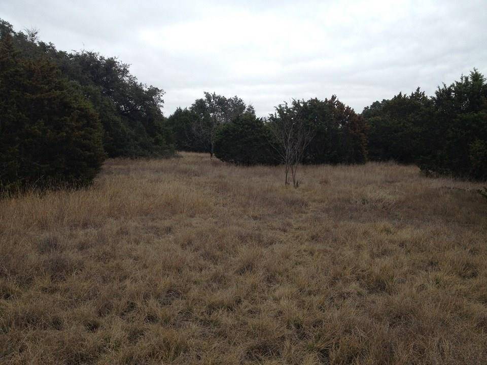 No City, TX 76528,TBD County Road 142