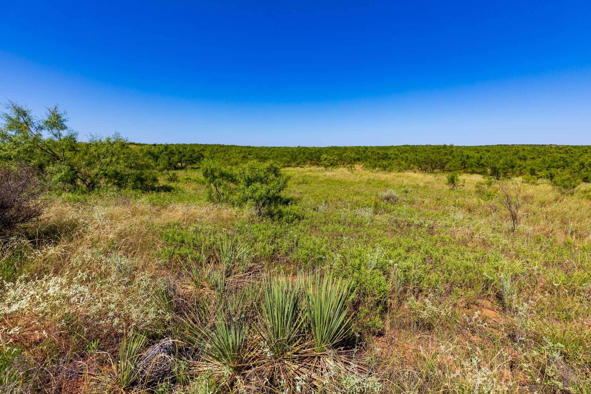 Aspermont, TX 79502,Tract 8 CR 439