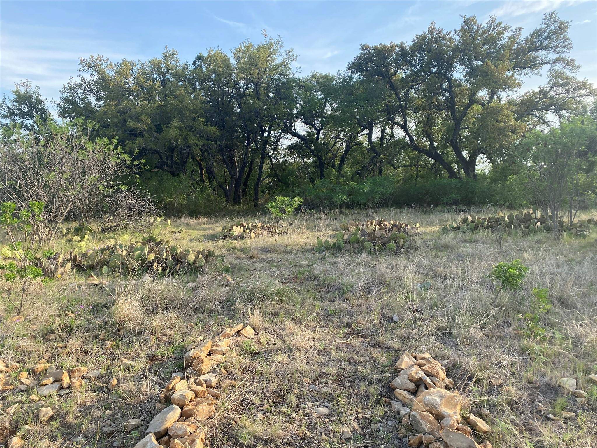 Possum Kingdom Lake, TX 76449,Lt 328 Shooting Star