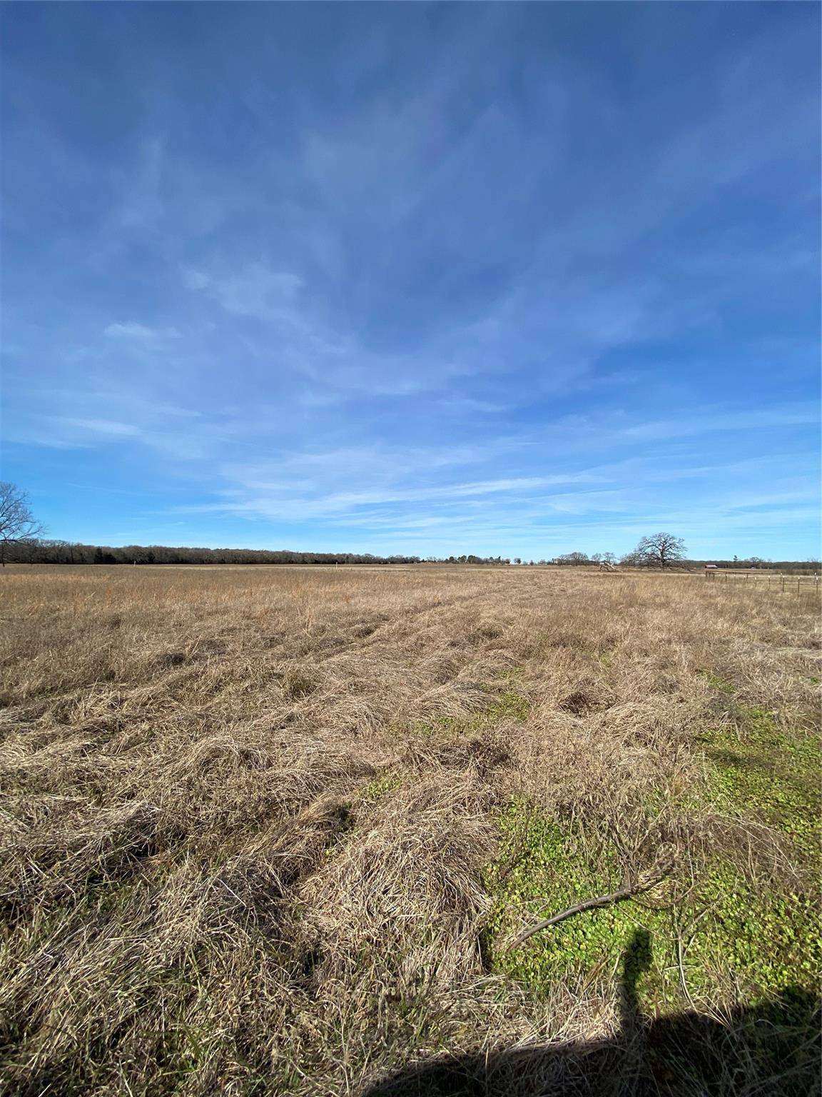 Saltillo, TX 75471,Lot 1 Farm Road 269 S