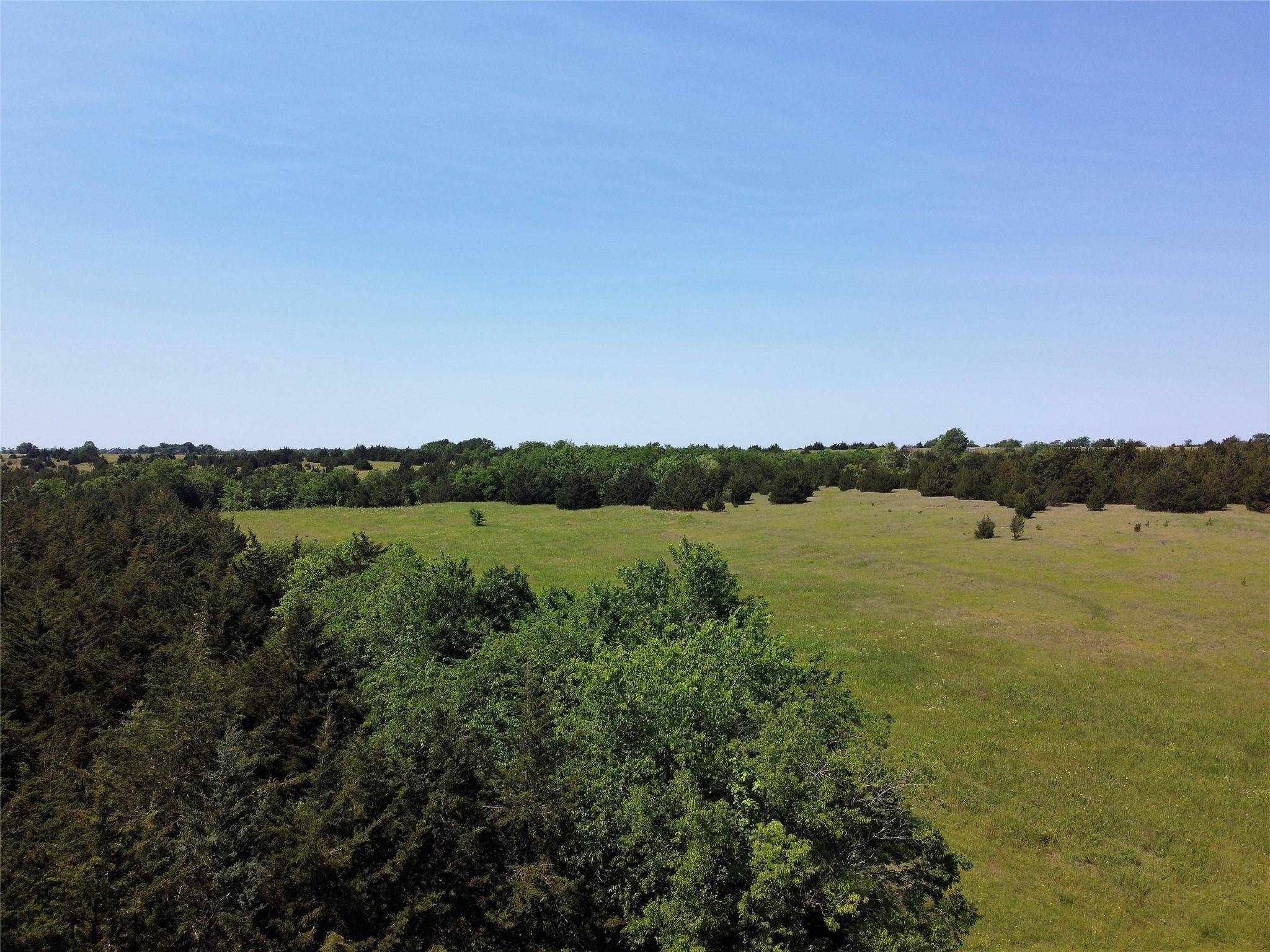 Wolfe City, TX 75496,88 ac County Road 4615