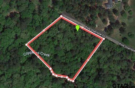 Flint, TX 75762,Lot 17 Pine Overlook Drive