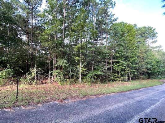 Flint, TX 75762,Lot 17 Pine Overlook Drive