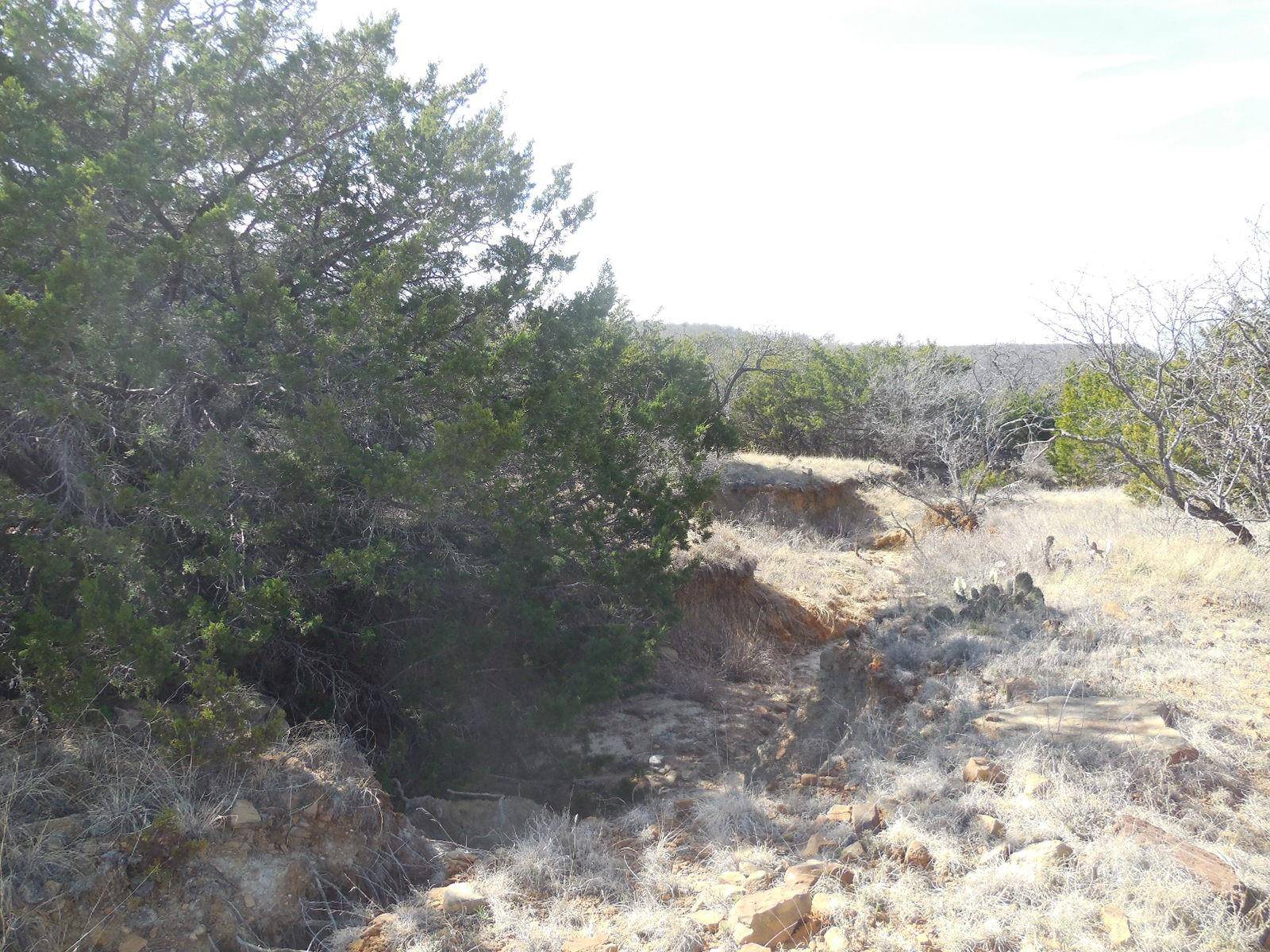 Ranger, TX 76470,28.16 Acres Cr 136