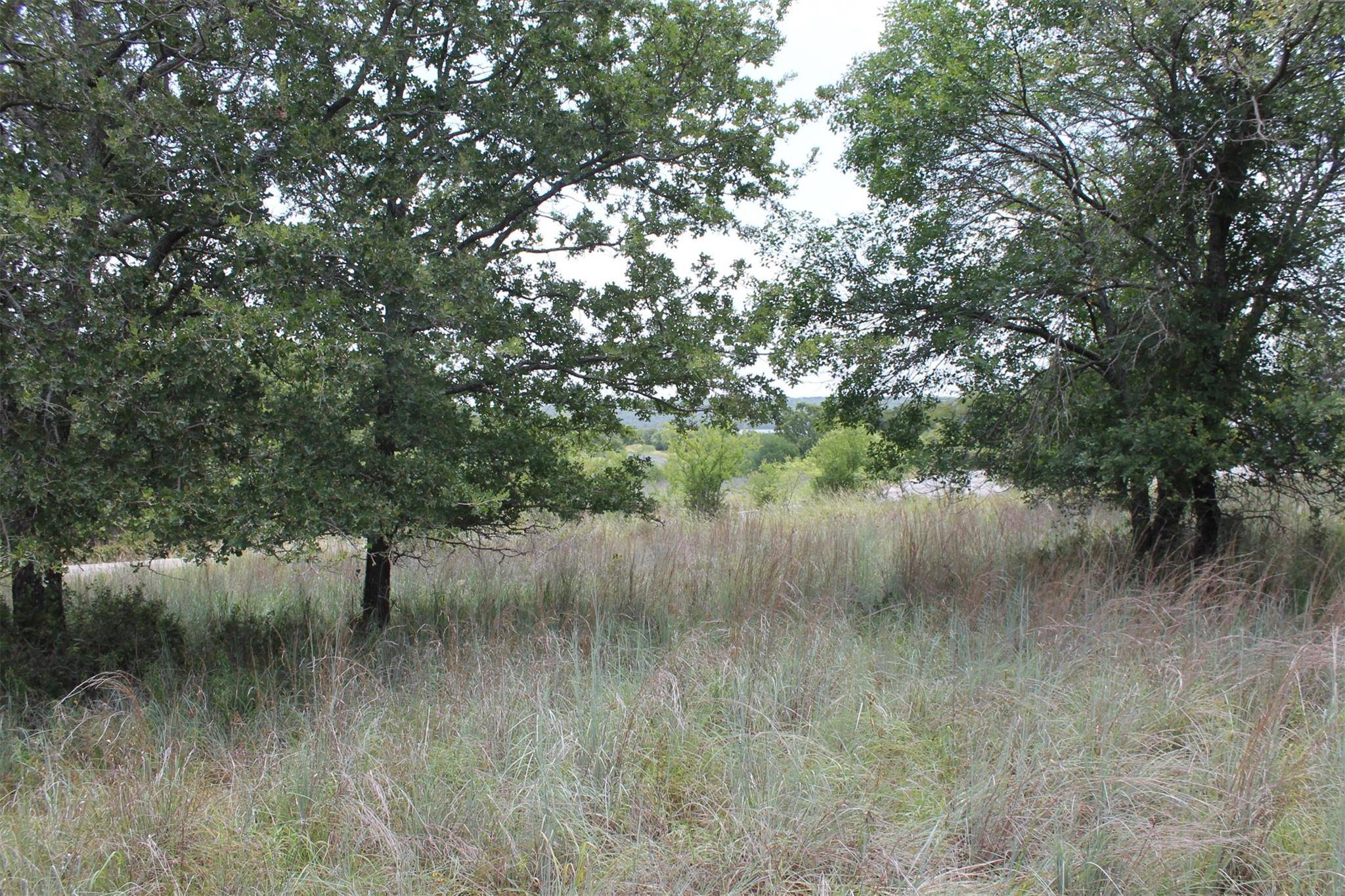 Chico, TX 76431,Lot 9 Demonbruen Court