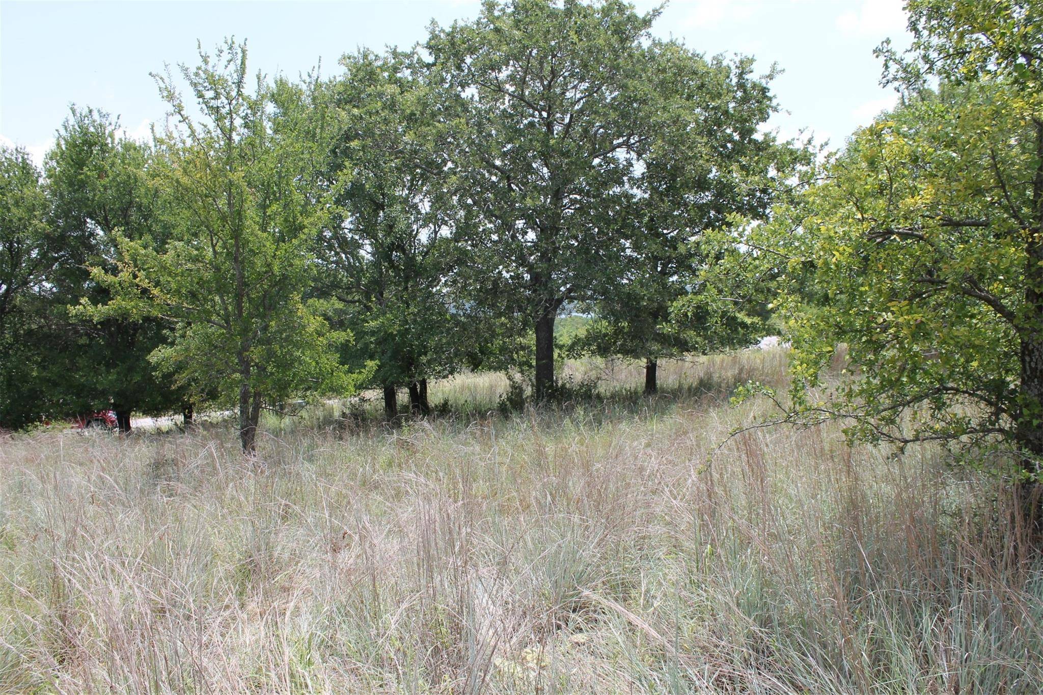 Chico, TX 76431,Lot 9 Demonbruen Court