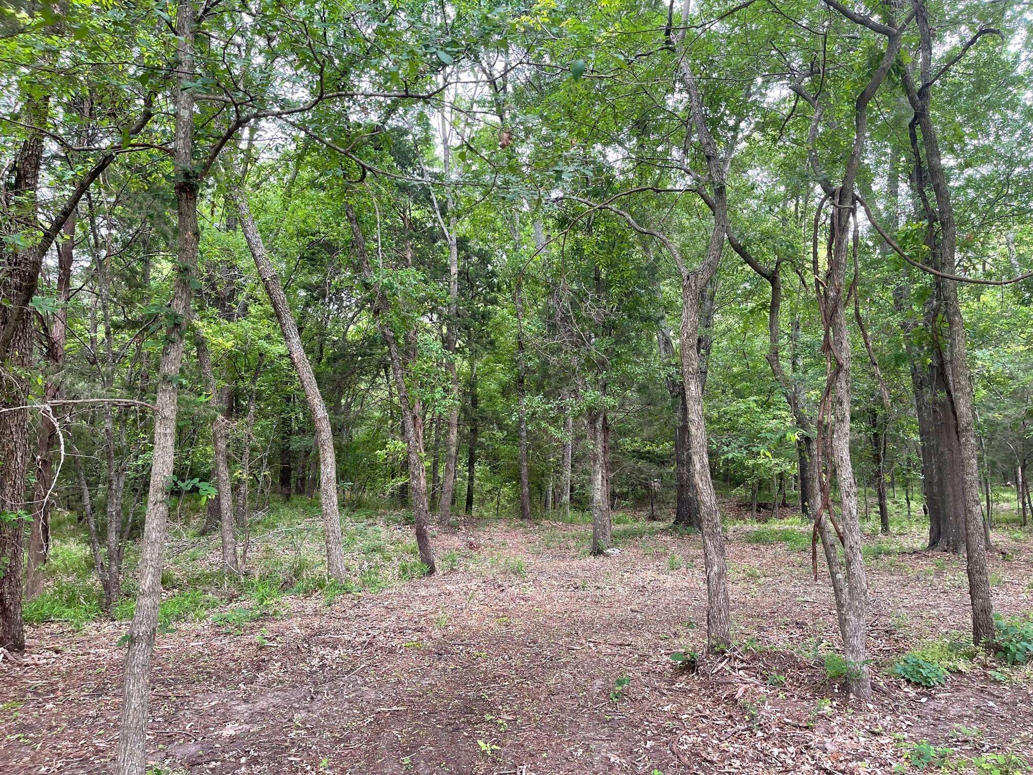 Corsicana, TX 75109,Lot 369 Polaris Drive