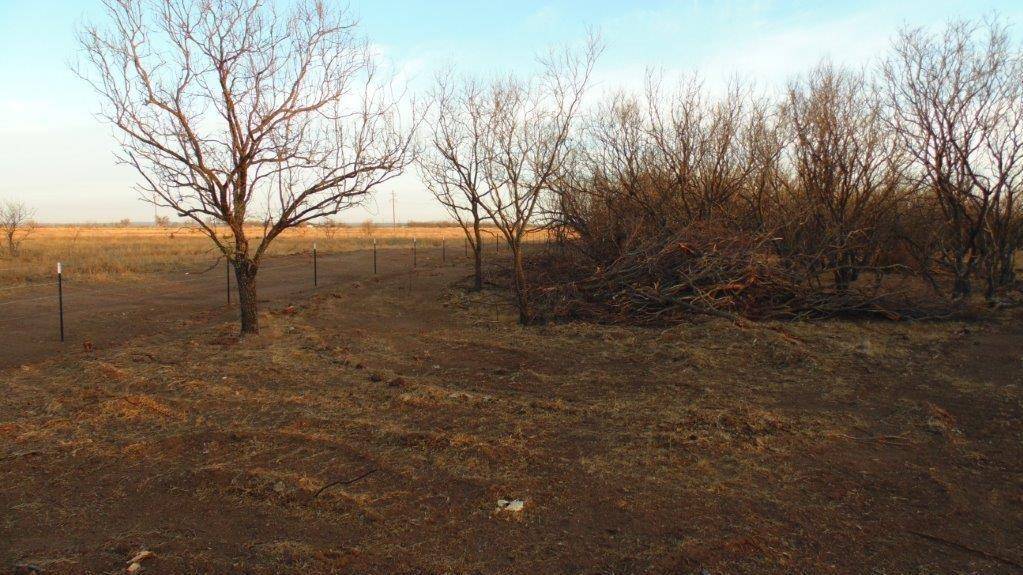 Ovalo, TX 79541,TBD 8 COUNTY ROAD 197