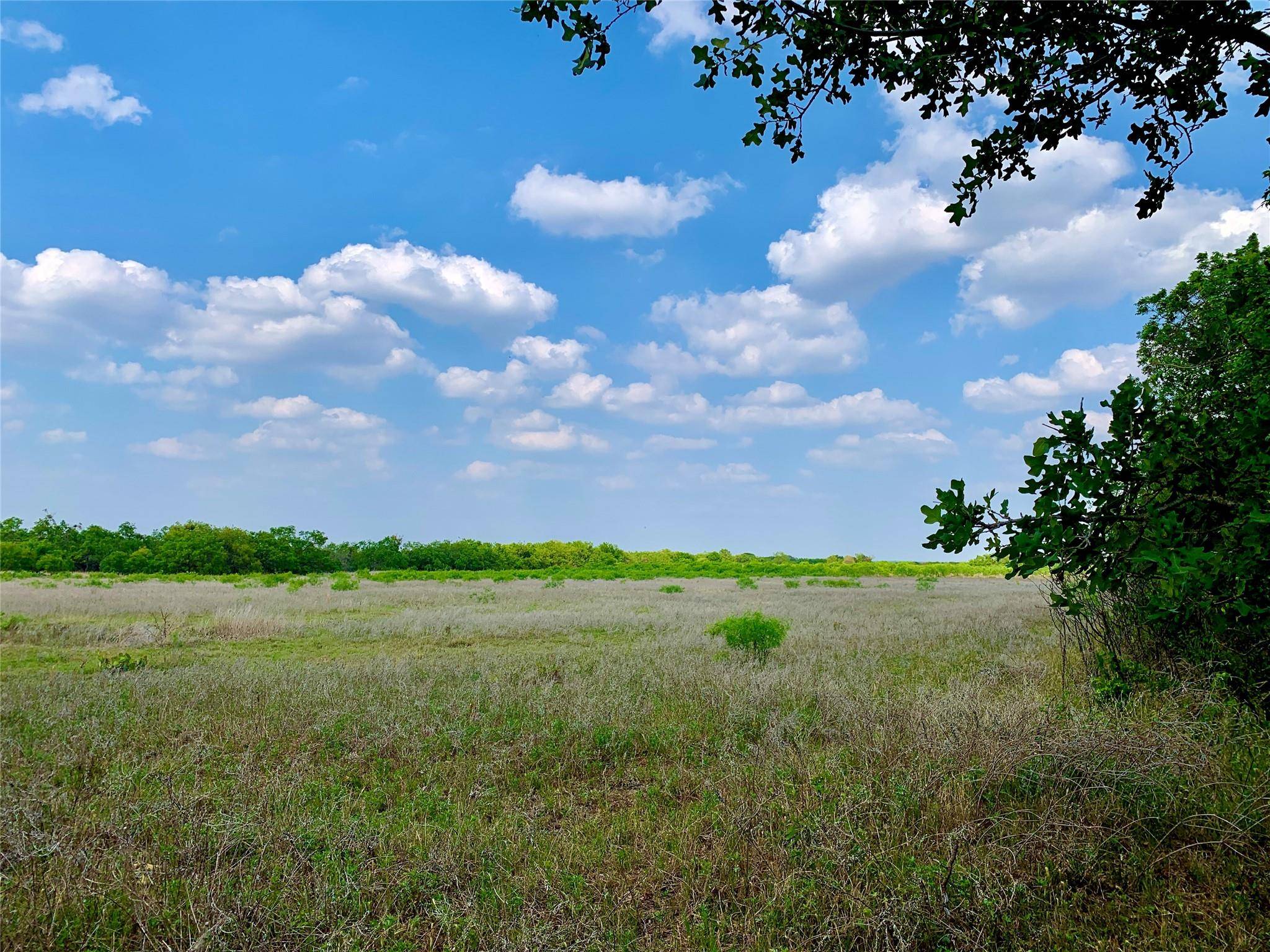 Rising Star, TX 76471,461 County Road 244