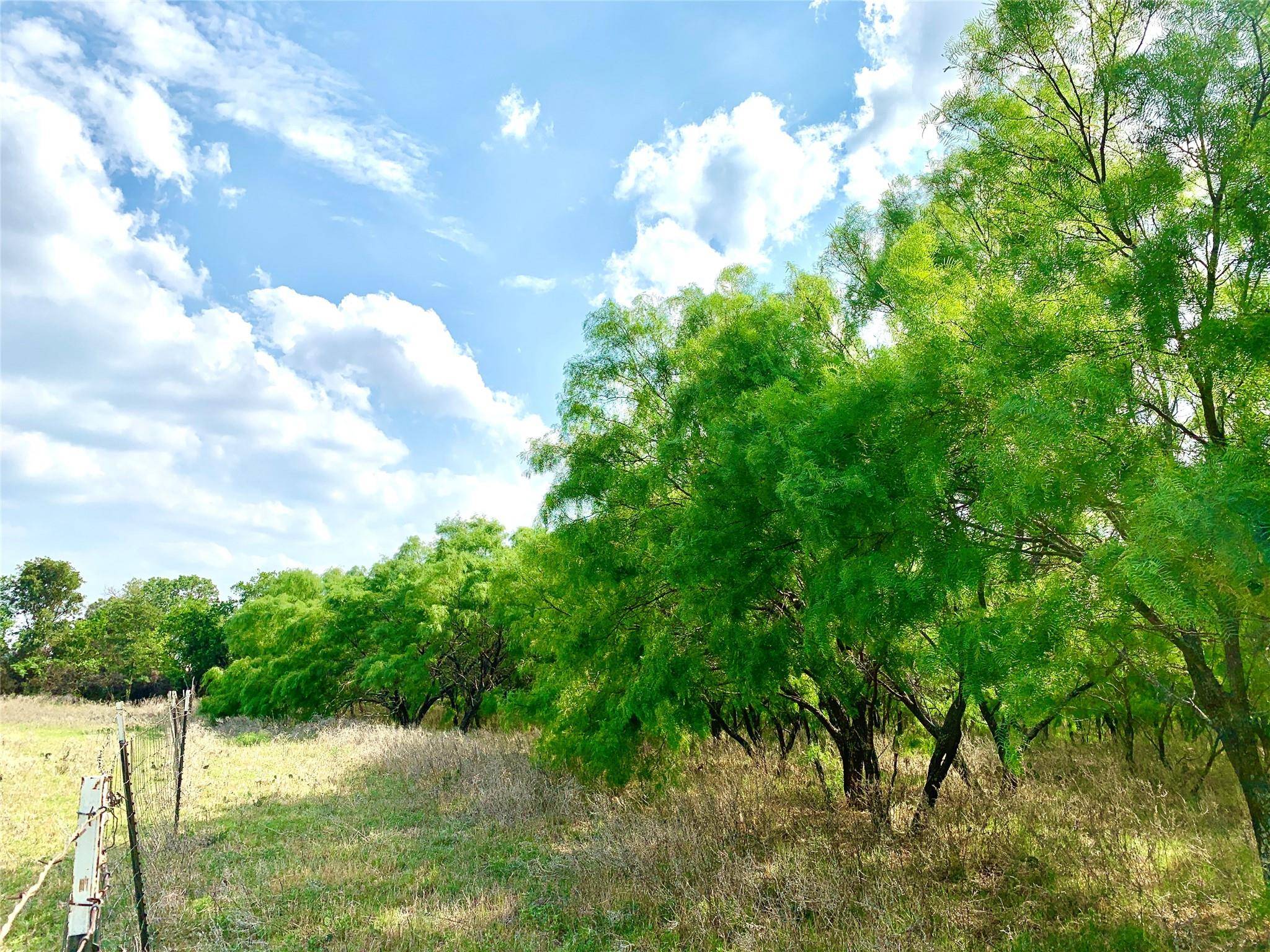 Rising Star, TX 76471,461 County Road 244