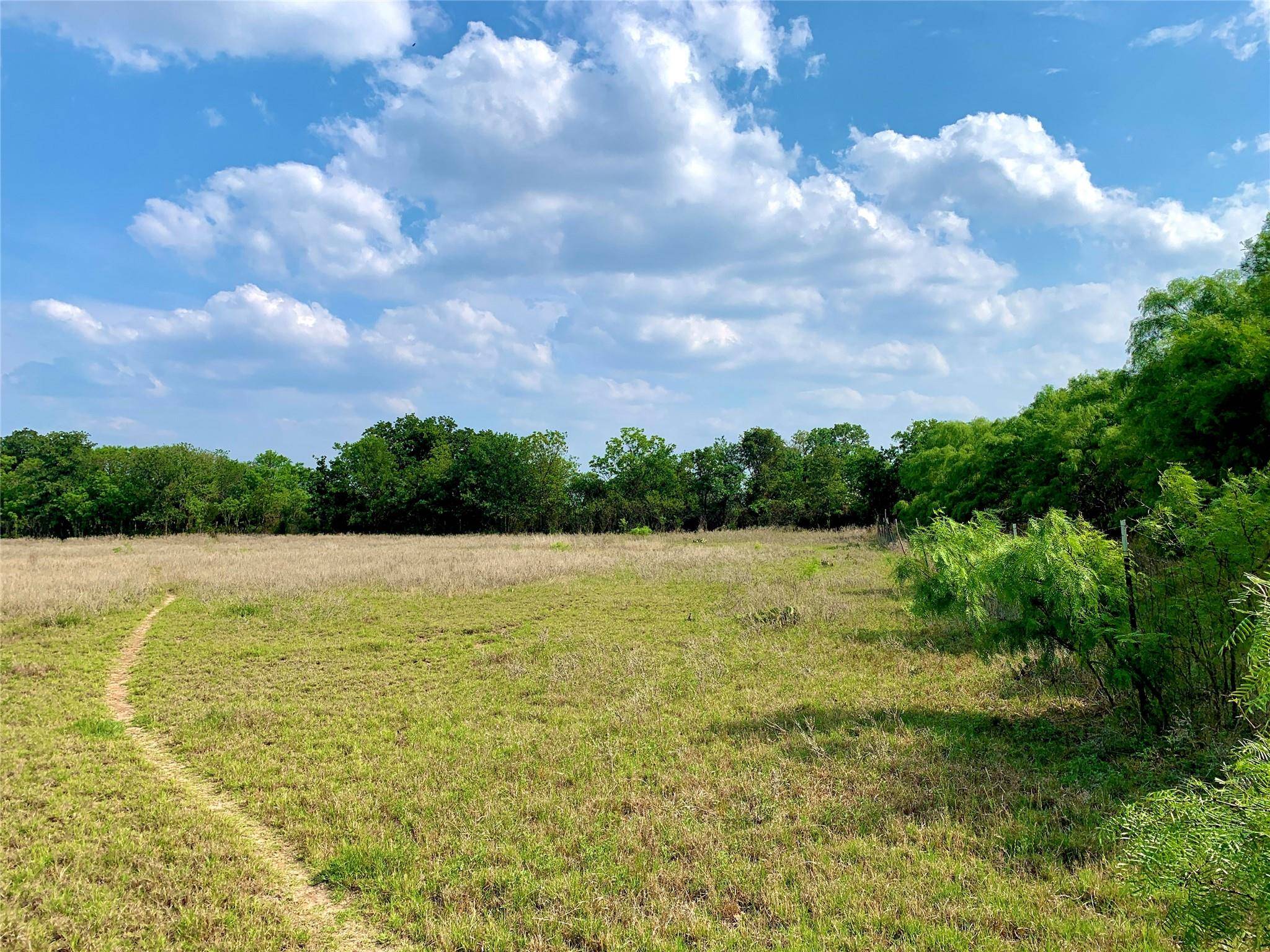 Rising Star, TX 76471,461 County Road 244