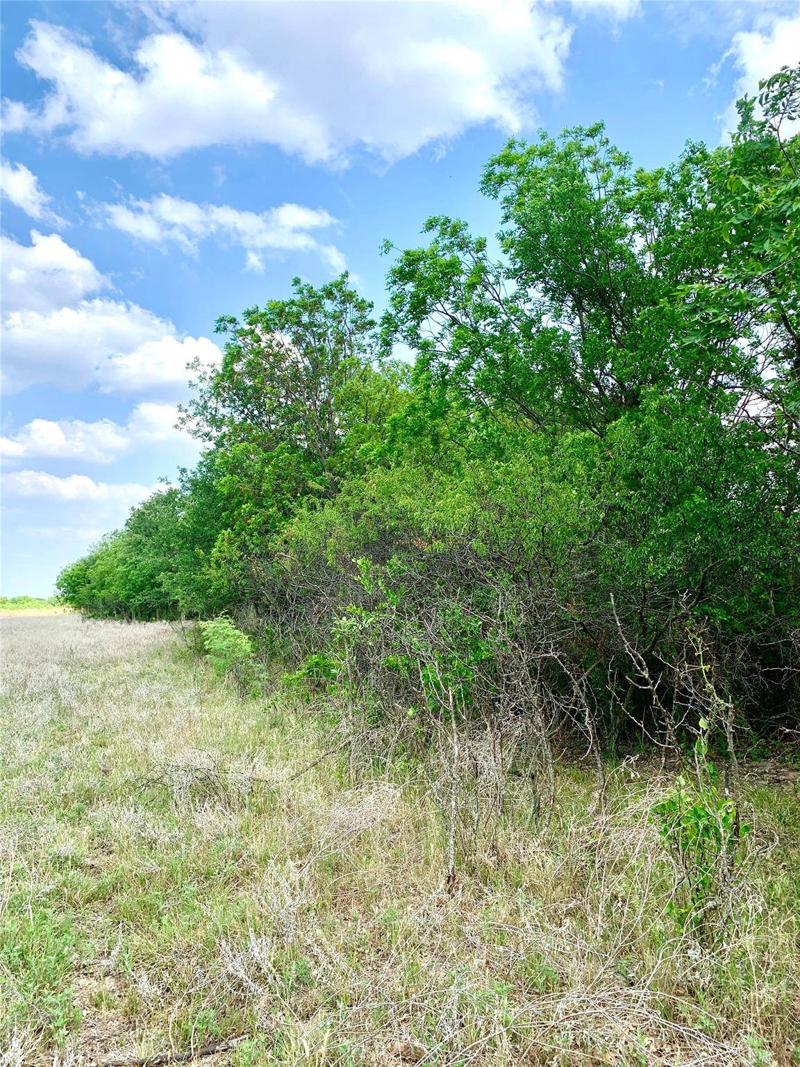 Rising Star, TX 76471,461 County Road 244