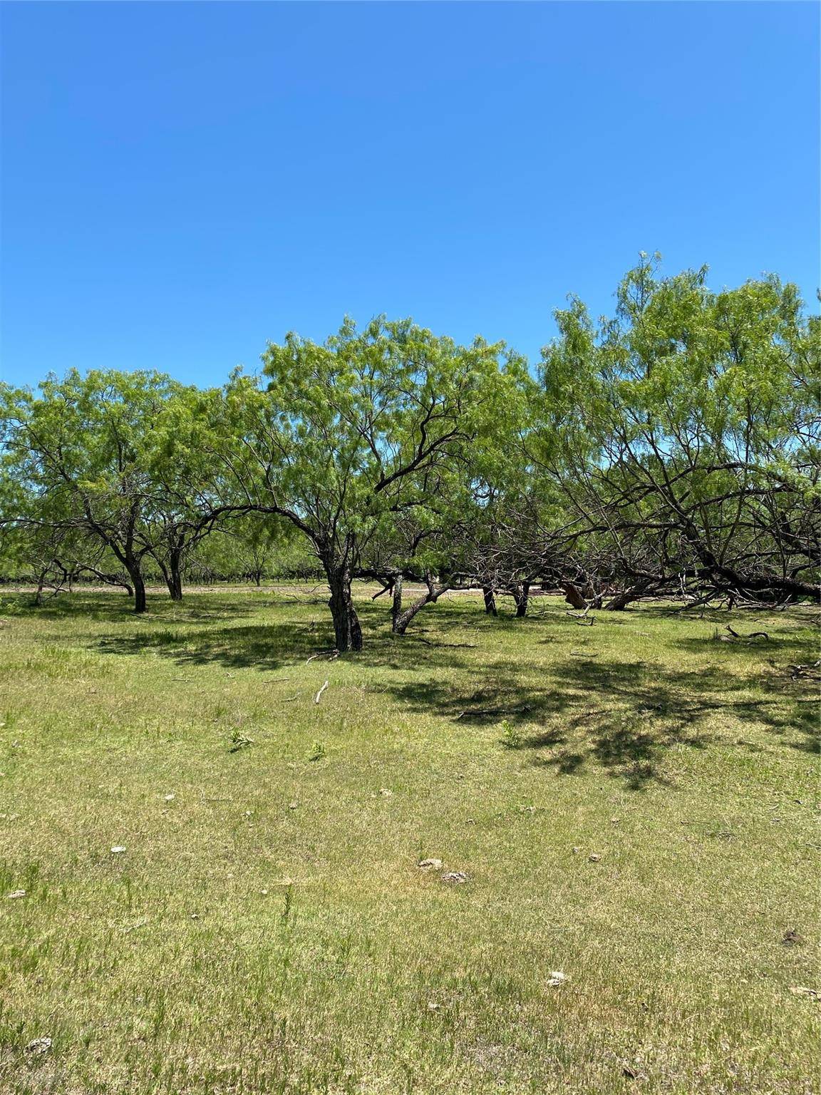 Ennis, TX 75119,Lot 4 TBD Gin Road