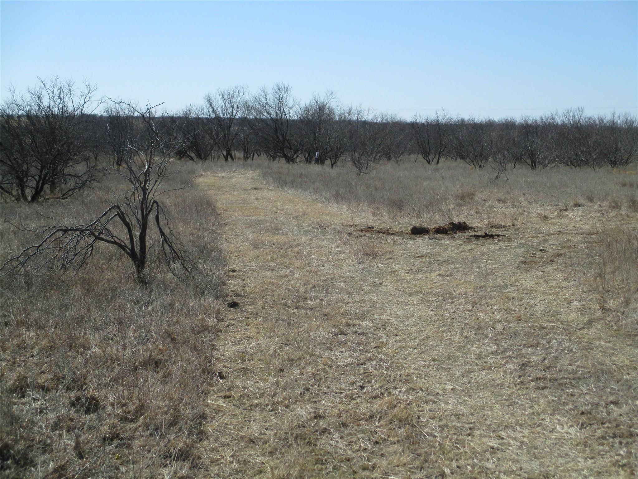 Bluegrove, TX 76352,Lot 2 Old Joy Shannon