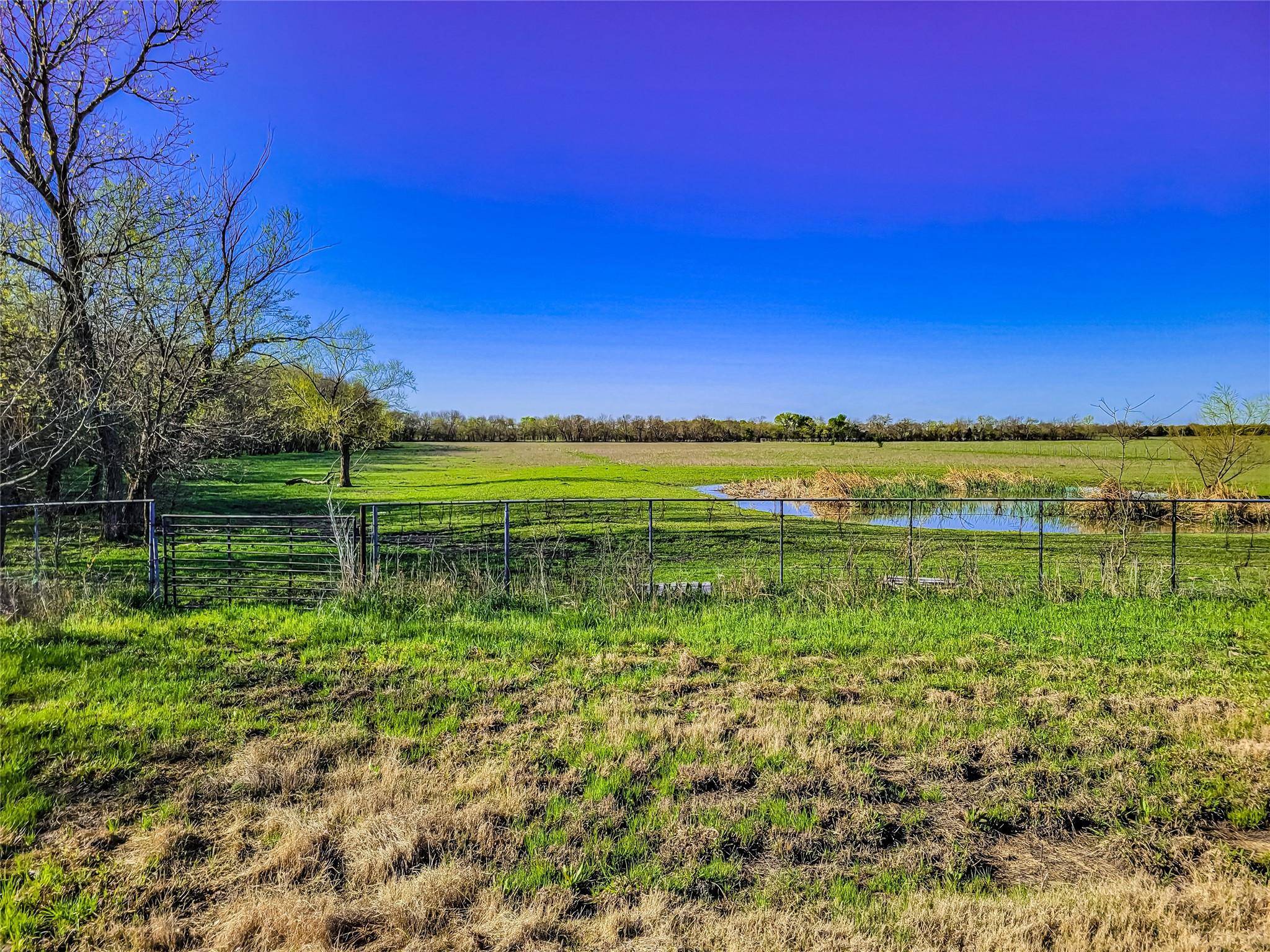 Farmersville, TX 75442,40 acres County Road 647 Road