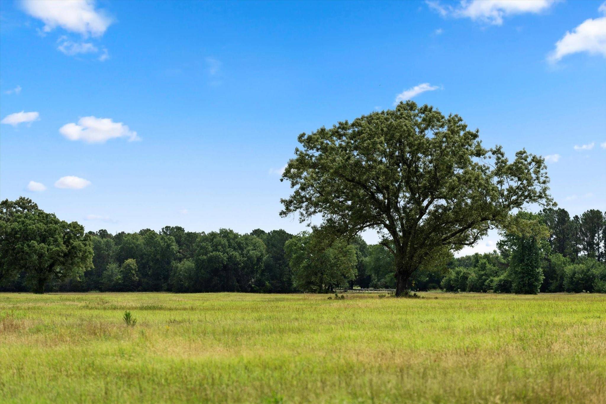 Bogata, TX 75417,TBD County Road 1325