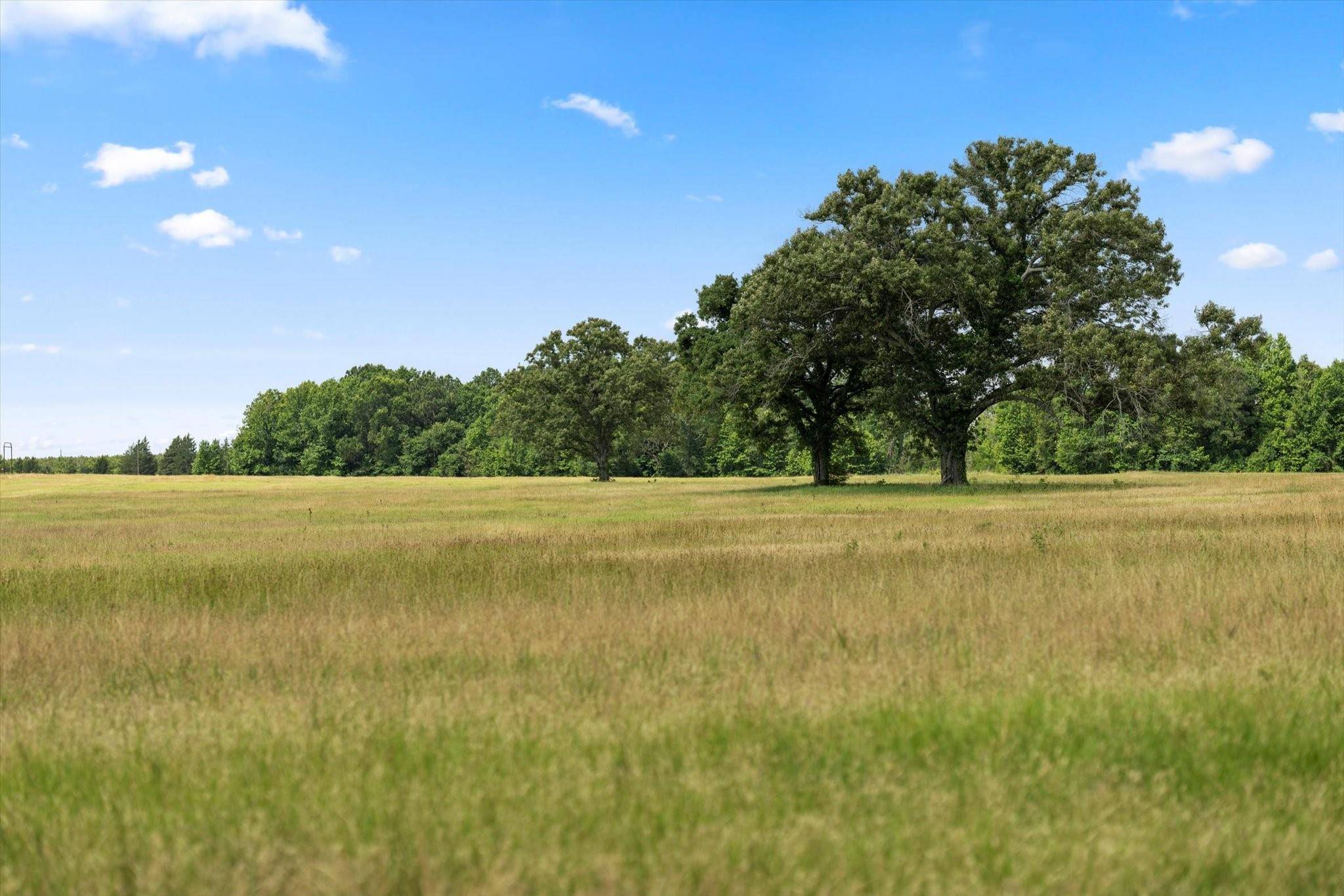 Bogata, TX 75417,TBD County Road 1325