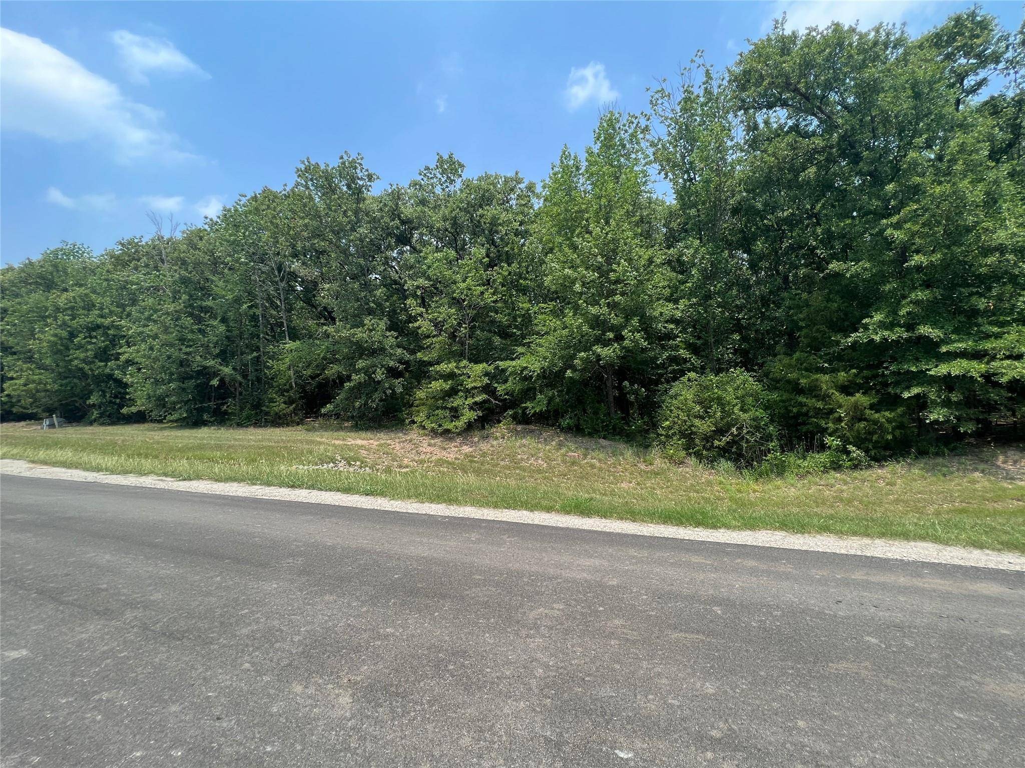 Corsicana, TX 75109,Lot 105R Waters Edge Drive