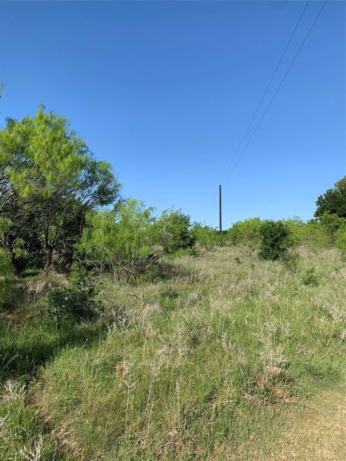 Jacksboro, TX 76458,TBD Green Elm Road