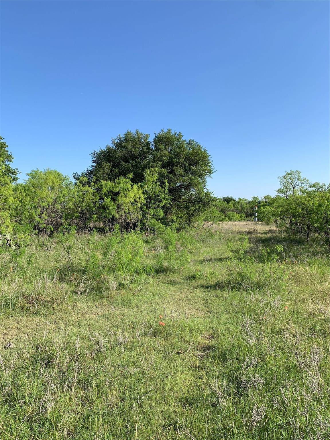 Jacksboro, TX 76458,TBD Green Elm Road