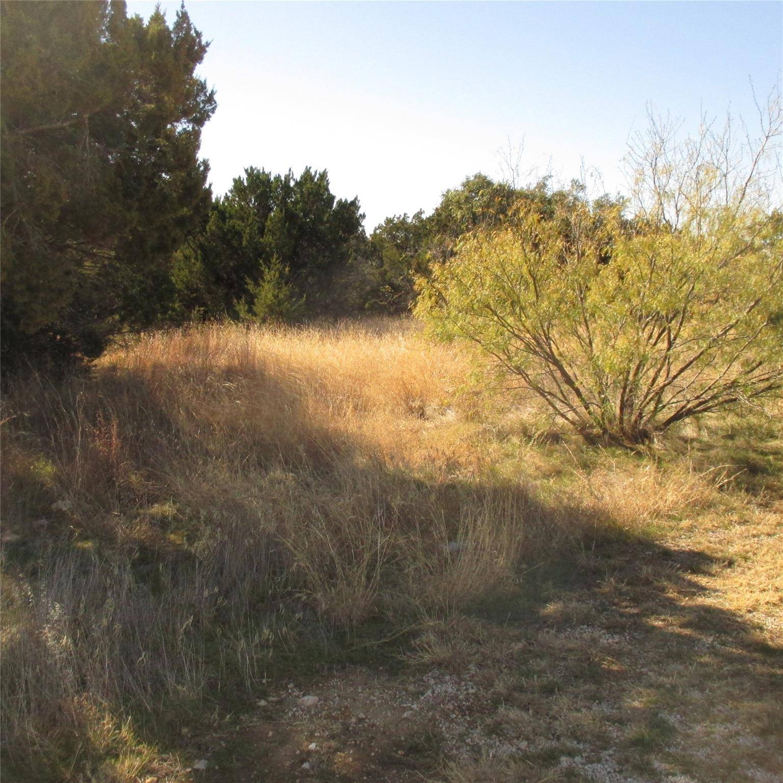 Possum Kingdom Lake, TX 76449,825 Spyglass Drive