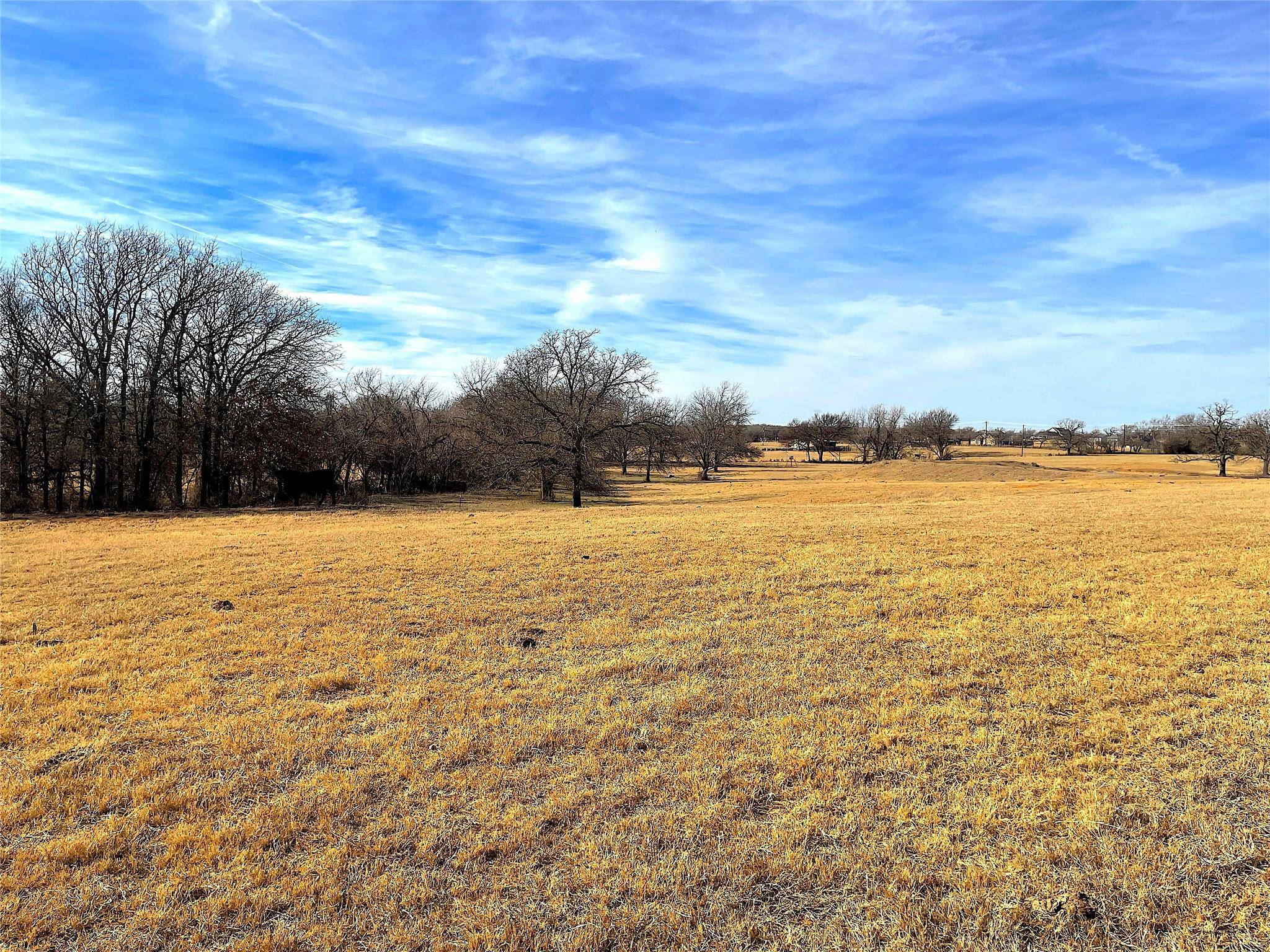 Poolville, TX 76487,TBD Turpin Lake Road