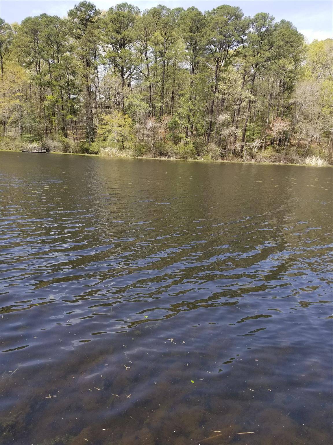 Holly Lake Ranch, TX 75765,790 Clear Water Trail