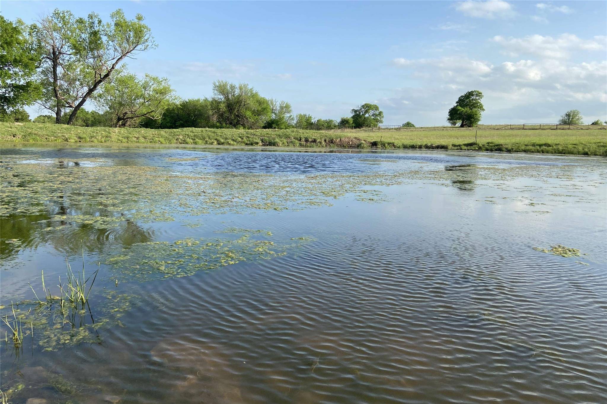 Muenster, TX 76252,TBD County Road 452