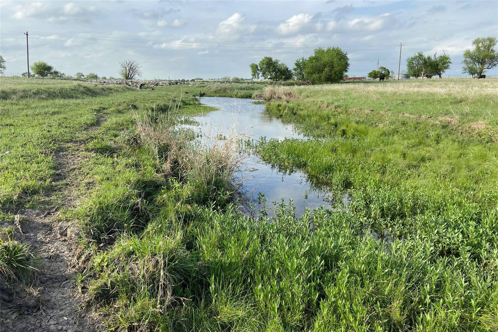 Muenster, TX 76252,TBD County Rd 440