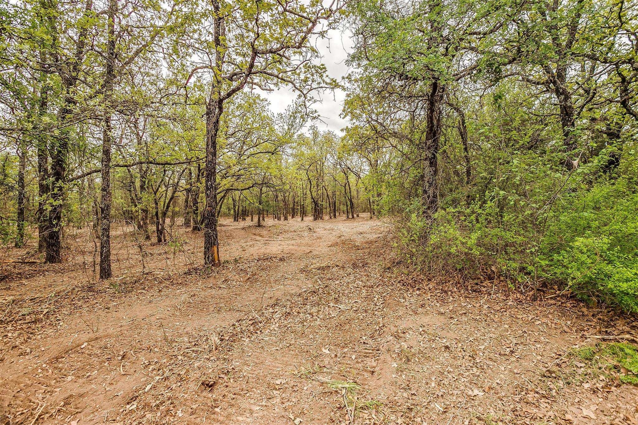 Weatherford, TX 76087,659 E Canyon Creek Lane