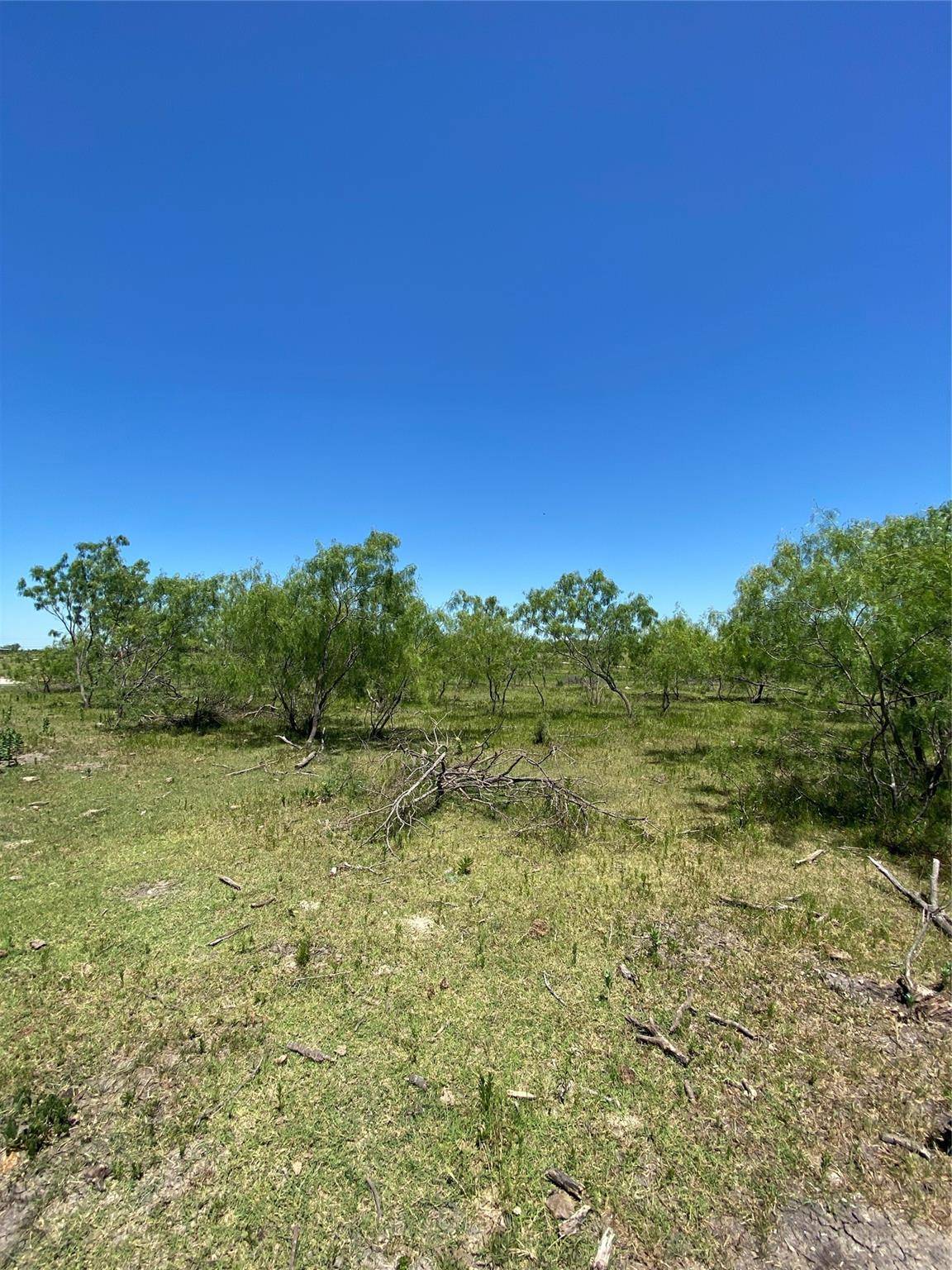 Ennis, TX 75119,Lot 7 TBD Fm 1181