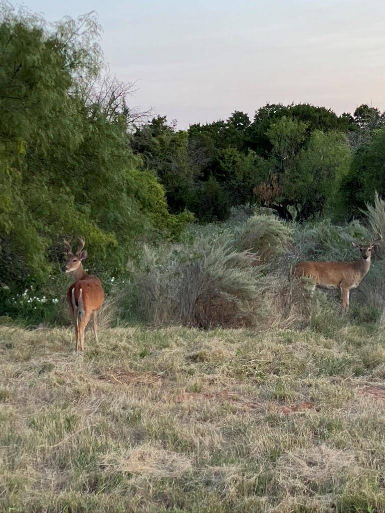 Graford, TX 76449,Lot 107 Olympic Drive