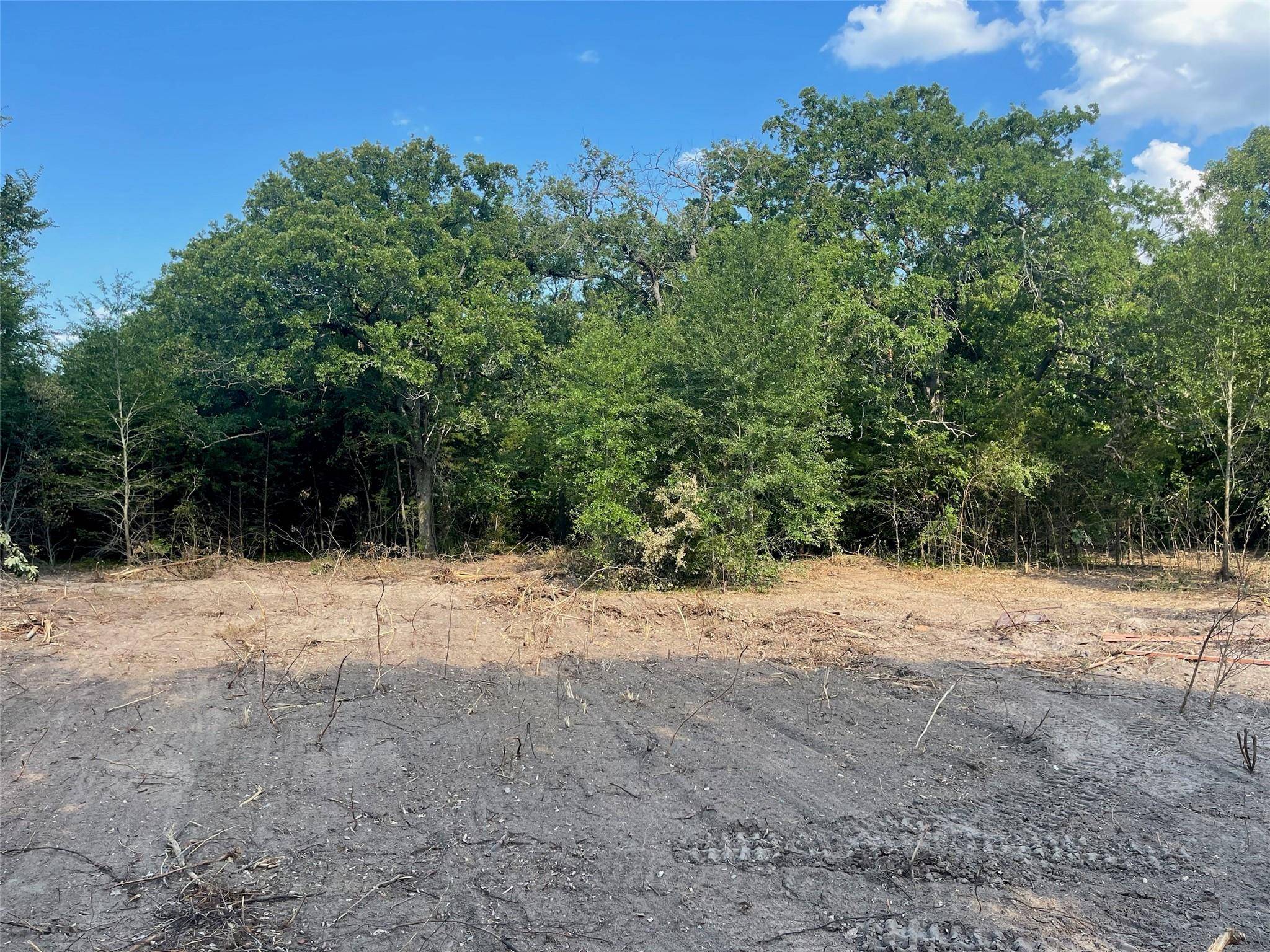 Wills Point, TX 75169,TBD Tealwood Drive