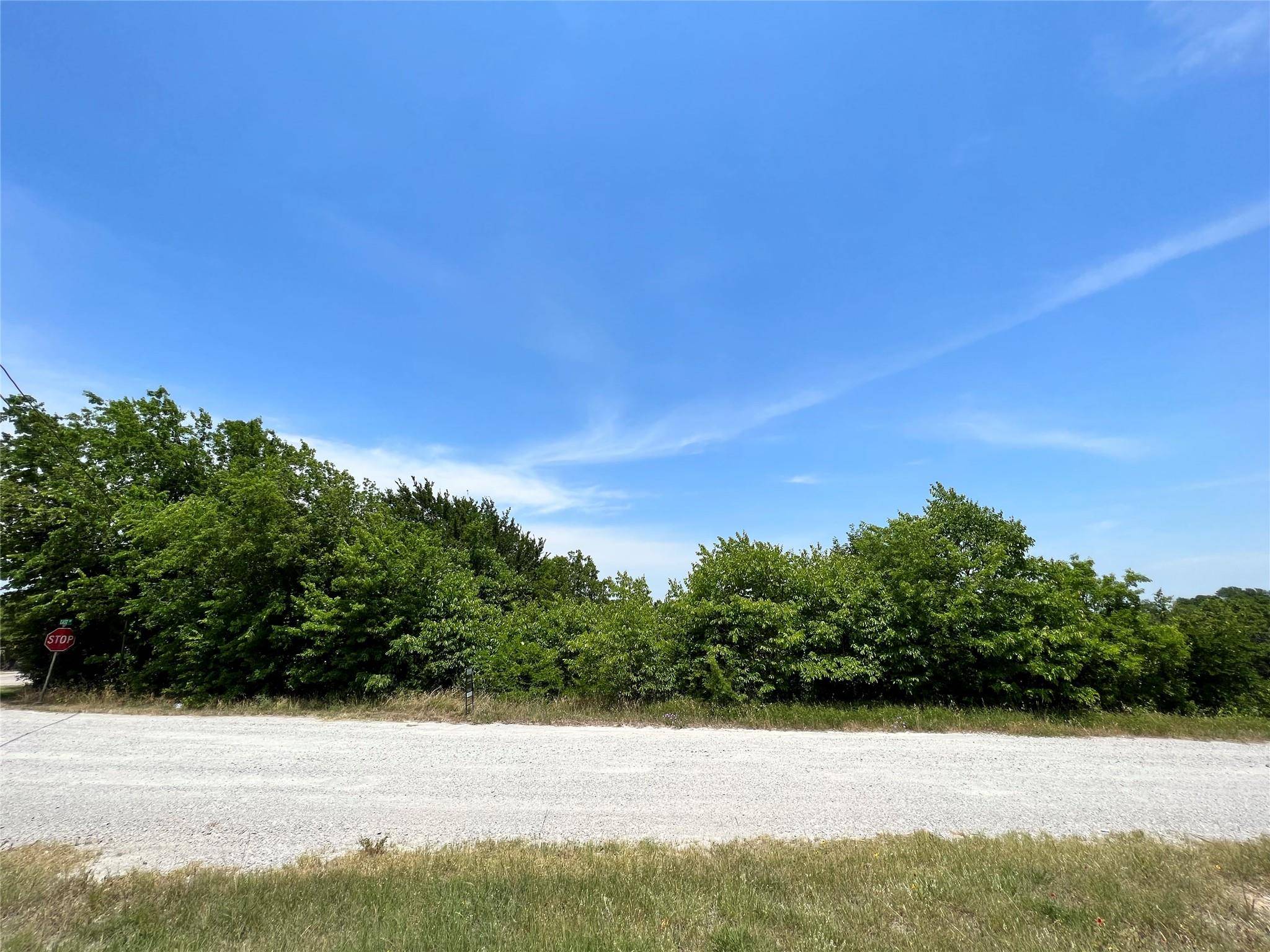 Bridgeport, TX 76426,TBD East Drive Street