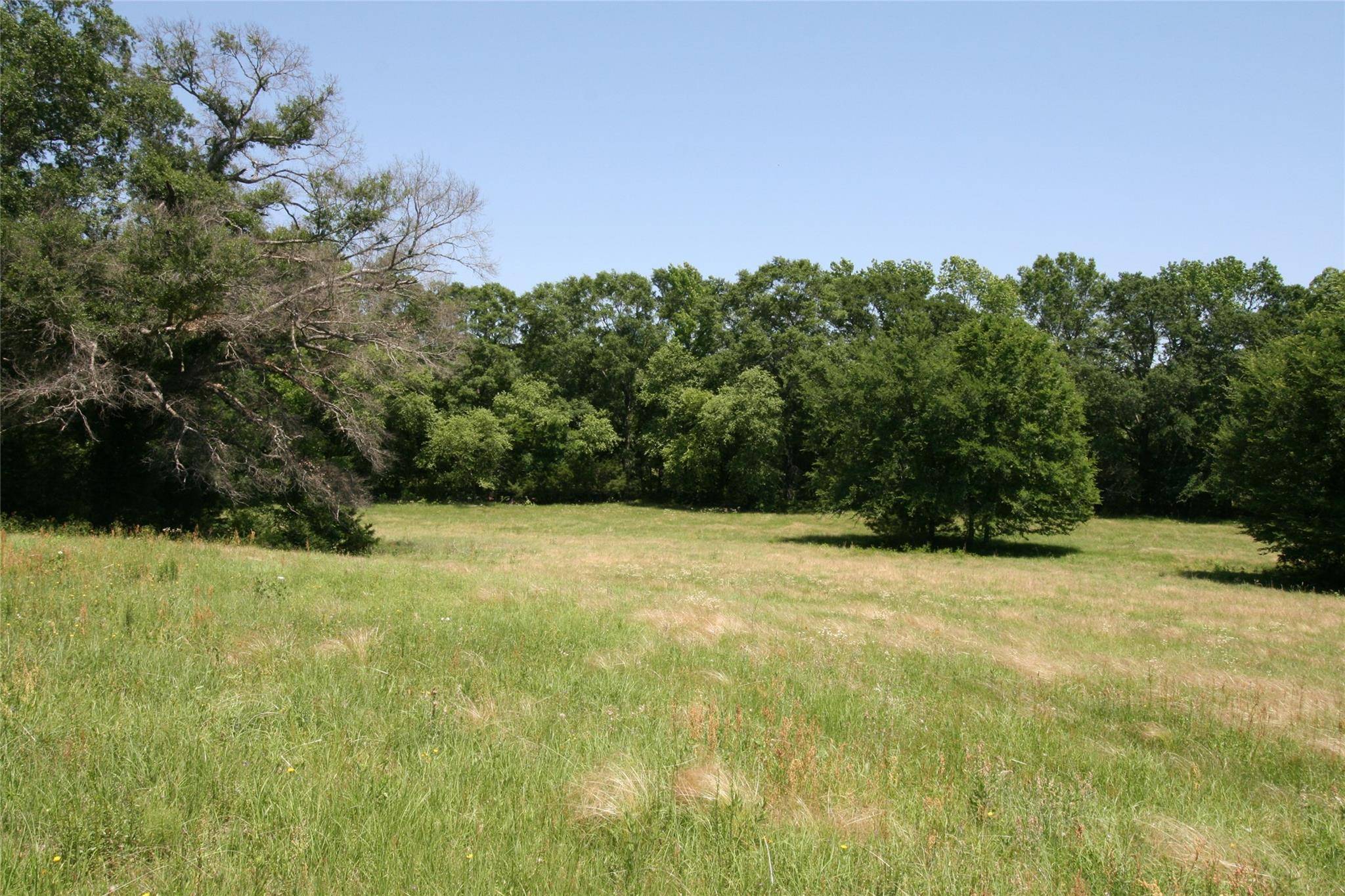 Grand Saline, TX 75140,000 FM 857