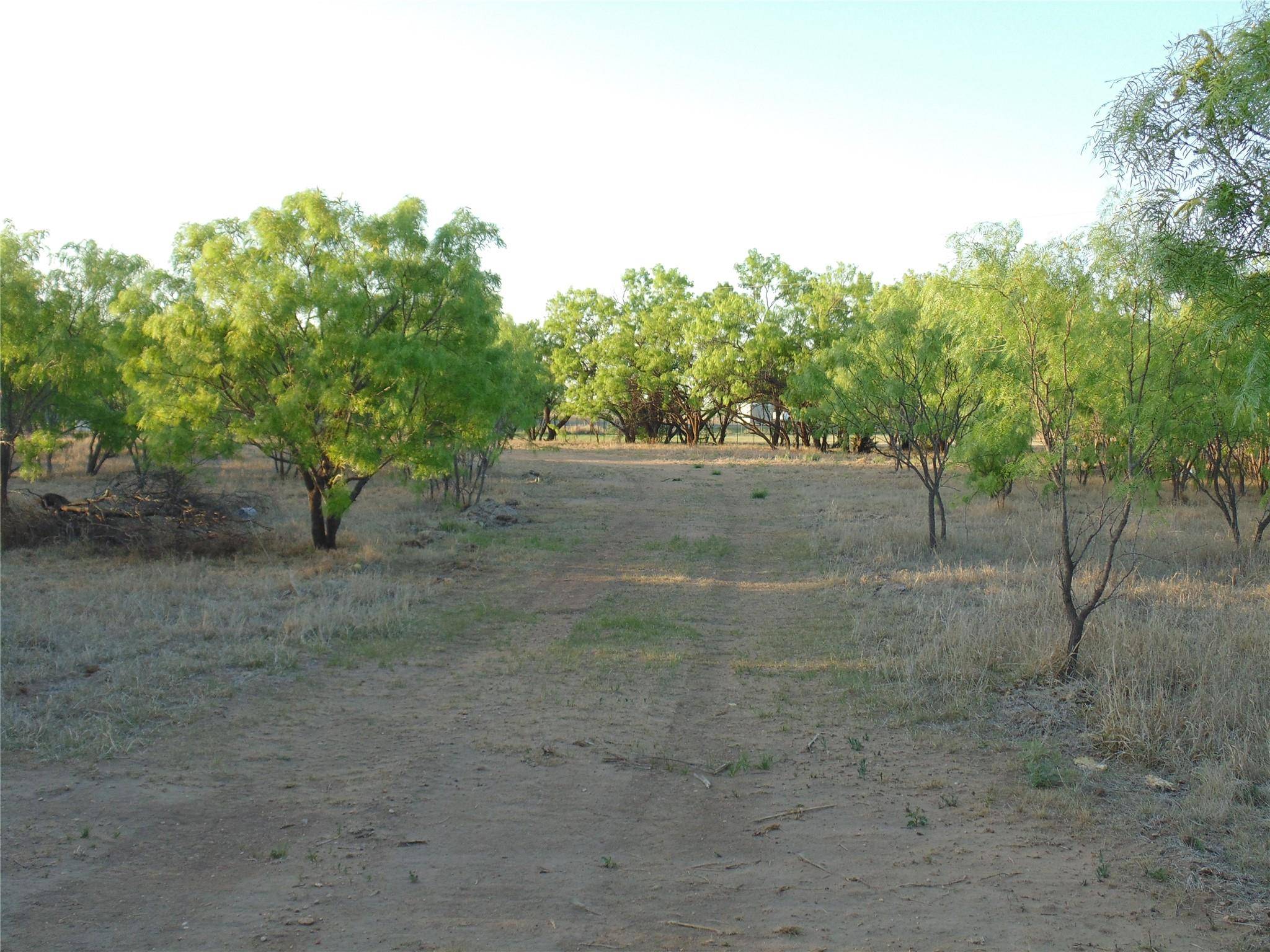 Ovalo, TX 79541,TBD 1 US HIGHWAY 83