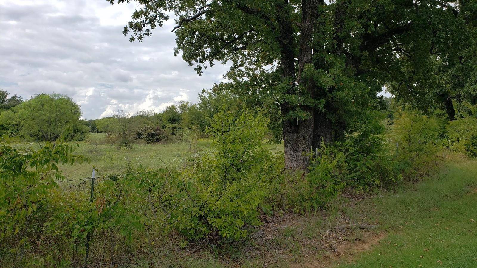 Argyle, TX 76226,659 Forest Trail