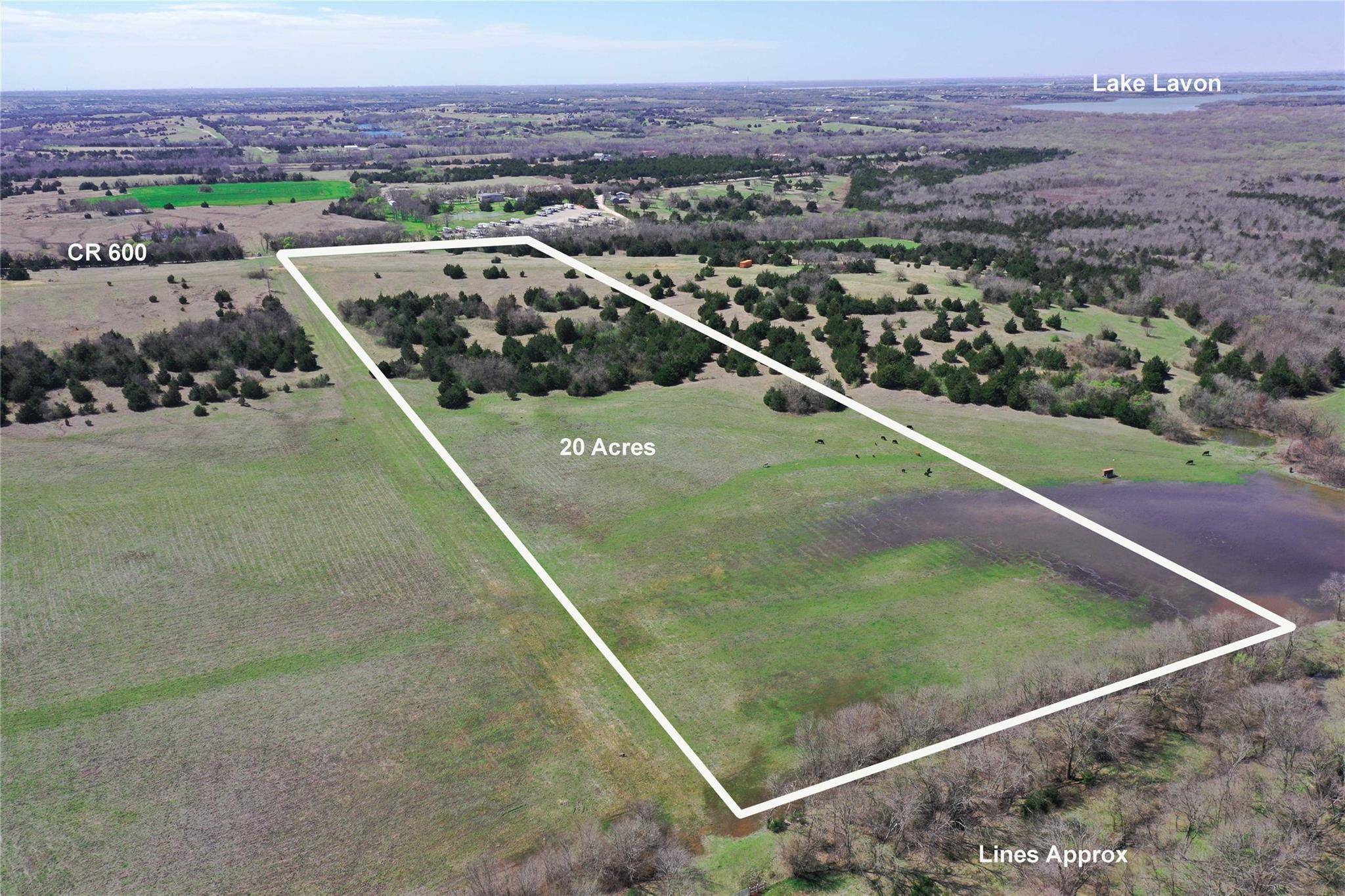 Farmersville, TX 75442,20 AC CR 600