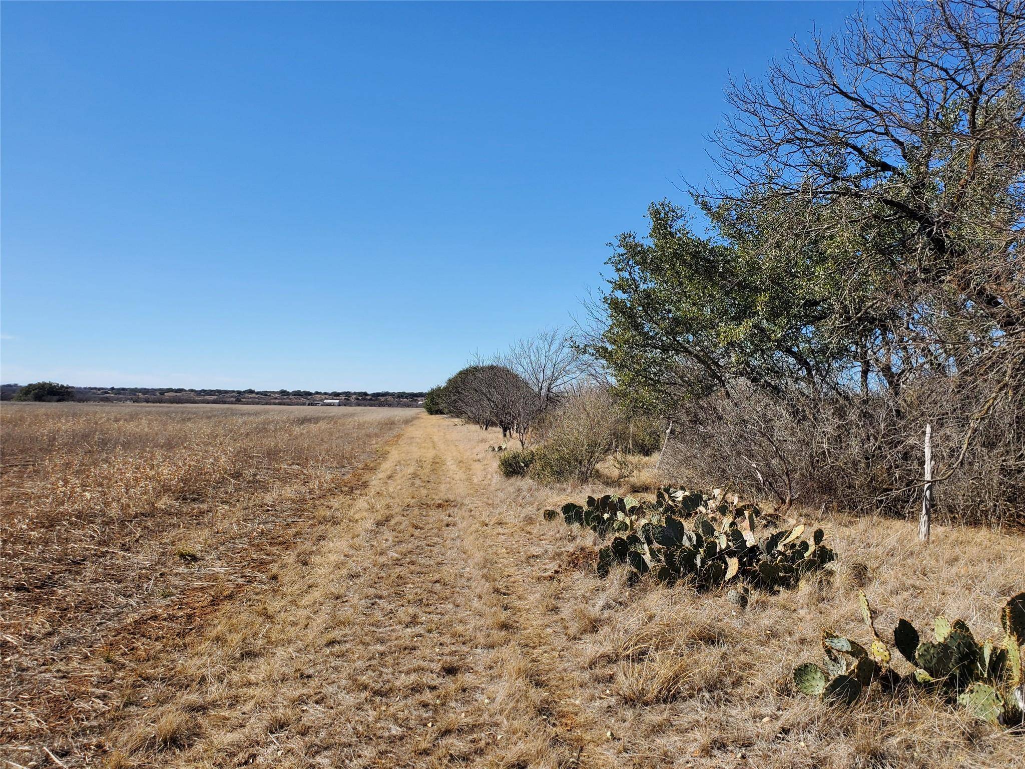 Brownwood, TX 76801,2602 County Road 135