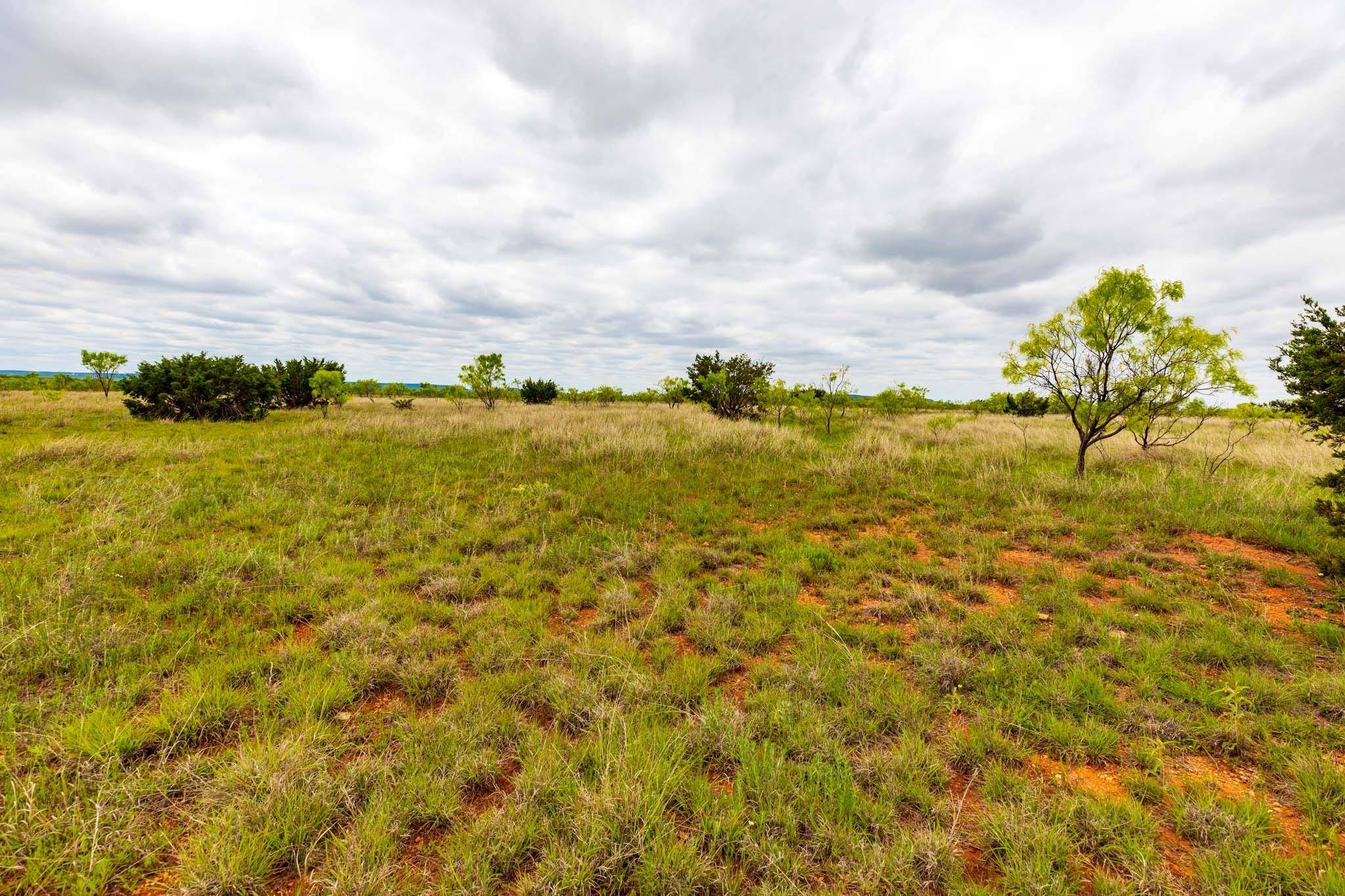 Lawn, TX 79530,TBD 5 FM 604