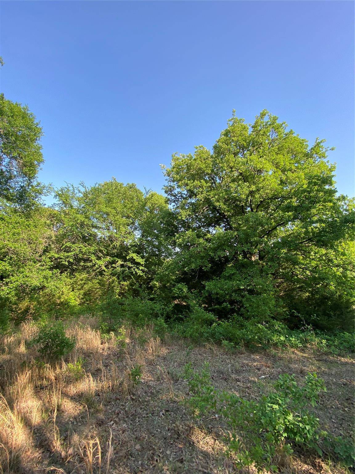 Cumby, TX 75433,Lot 1 TBD County Road 4120