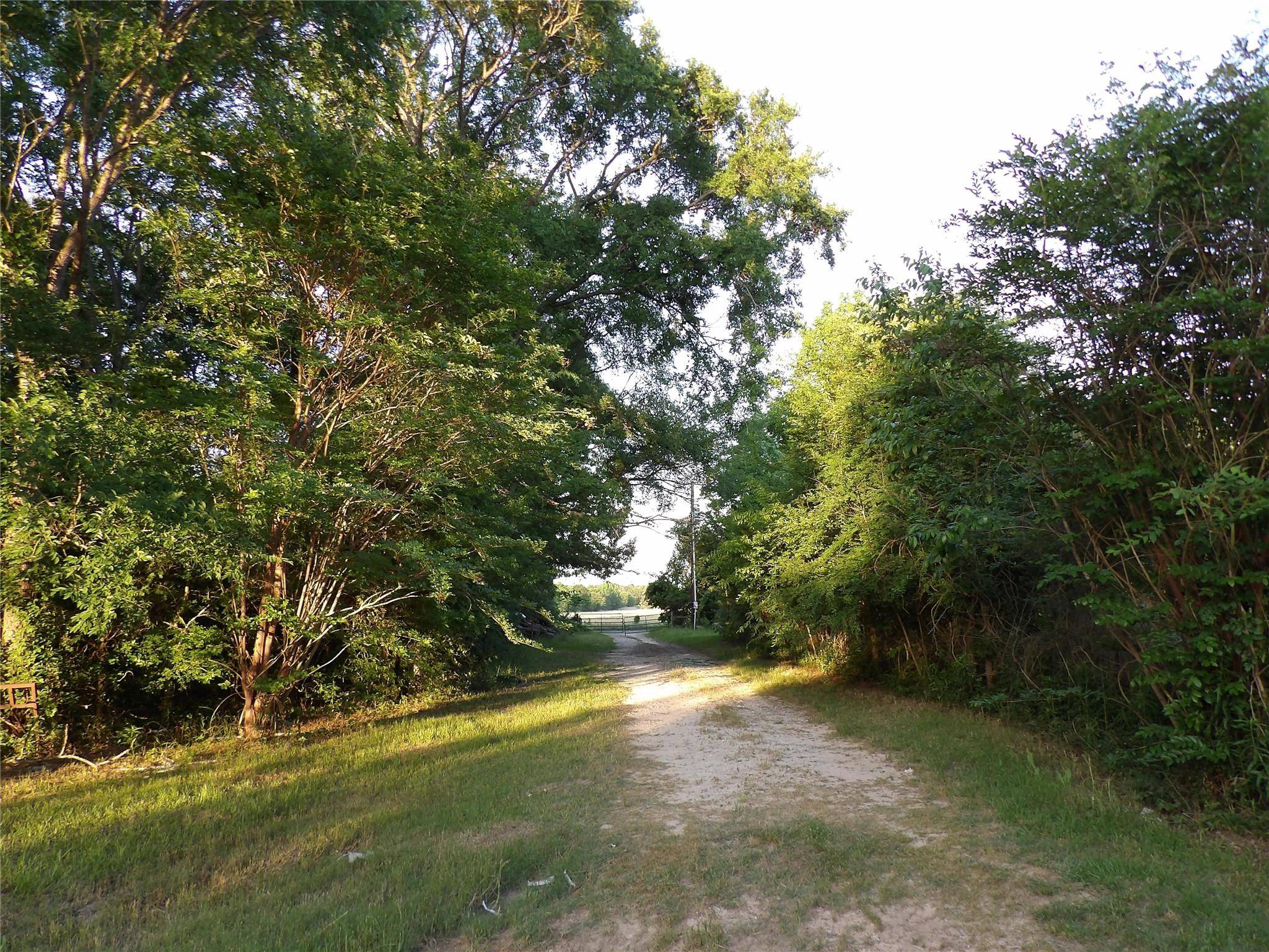 Lindale, TX 75771,19106 County Road 3162